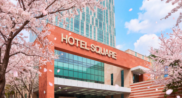 벚꽃 러버들 모두 모여라! 벚꽃 상품이 가득한 핑크빛 벚꽃 스테이 패키지 오픈!